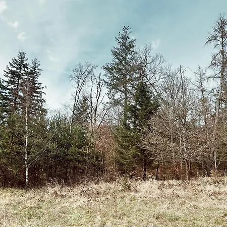 アパート Dein Gemuetliches Waldhaus Im Soonwald *