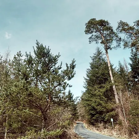 Dein Gemuetliches Waldhaus Im Soonwald Henau