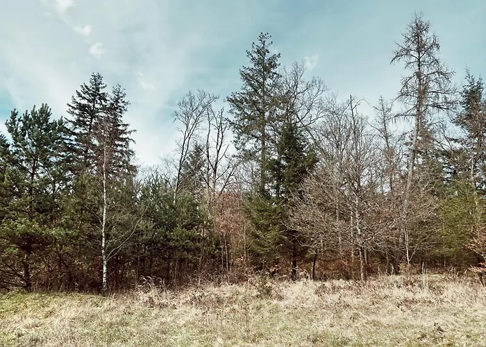 Apartament Dein Gemuetliches Waldhaus Im Soonwald *