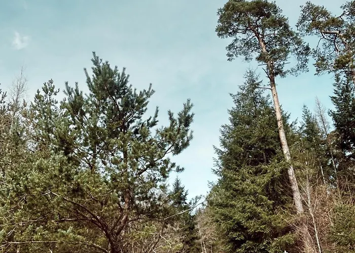 Dein Gemuetliches Waldhaus Im Soonwald Henau